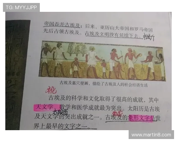 回顾赛程脉络解析关键节点的足球赛事阶段性总结报告全面视角